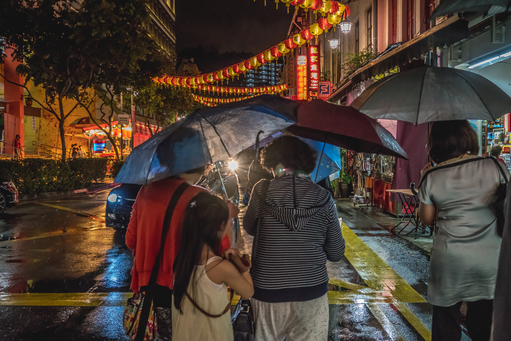 Sony a7R II + Sony Sonnar T* FE 35mm F2.8 ZA sample photo. Determination photography