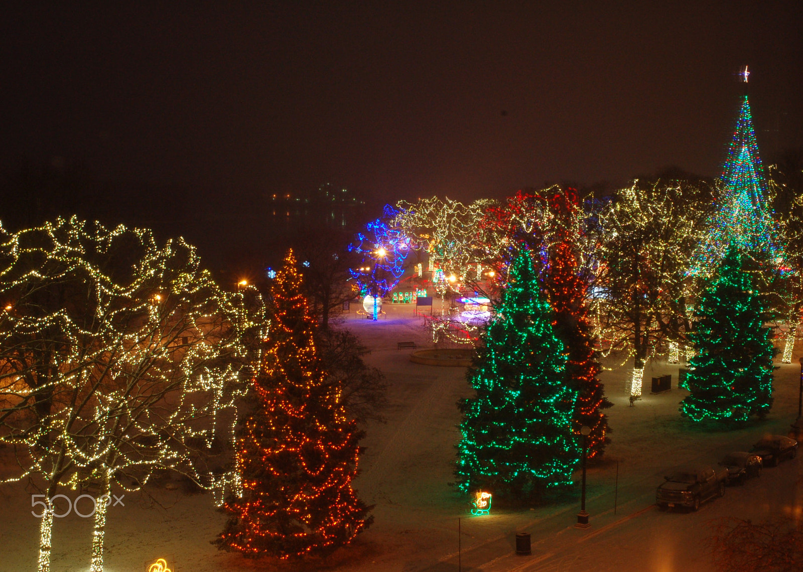 Nikon D50 sample photo. A park's winter color photography