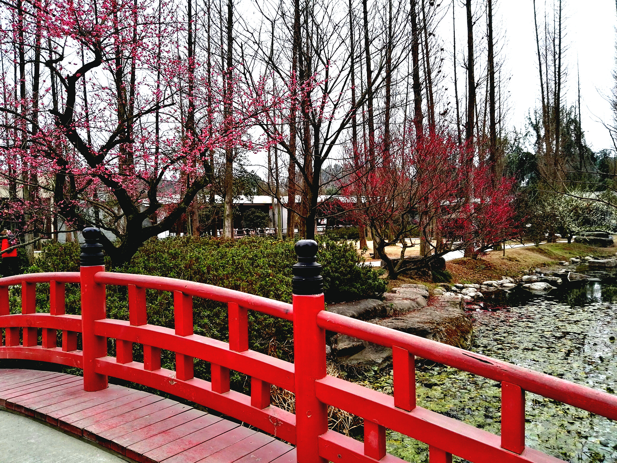 HUAWEI DAV sample photo