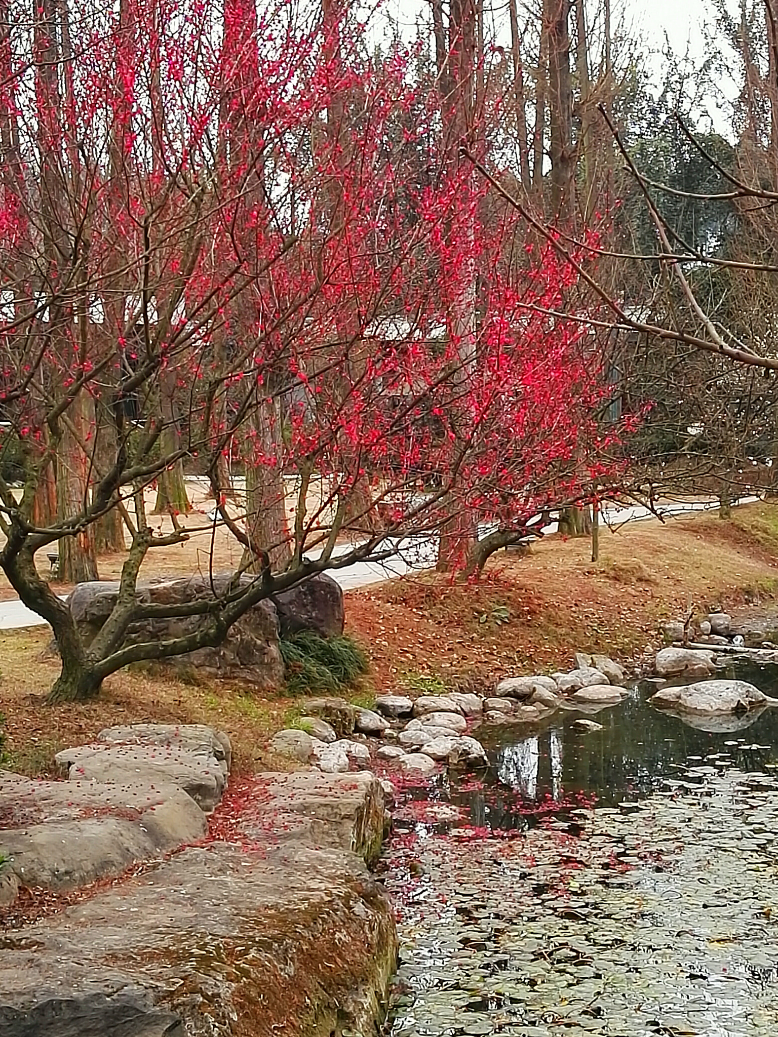 HUAWEI DAV sample photo