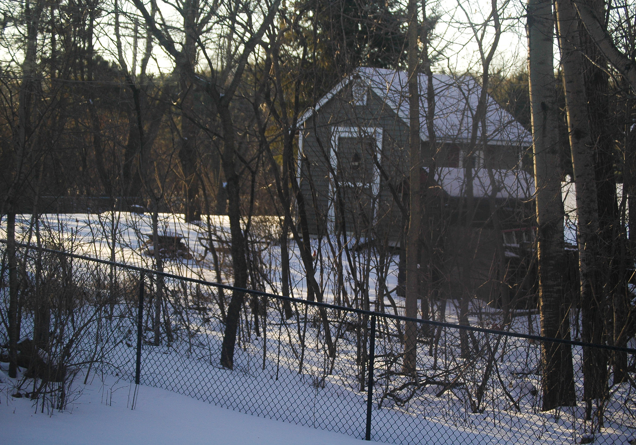 Nikon D70s sample photo. A cold winter's morn photography