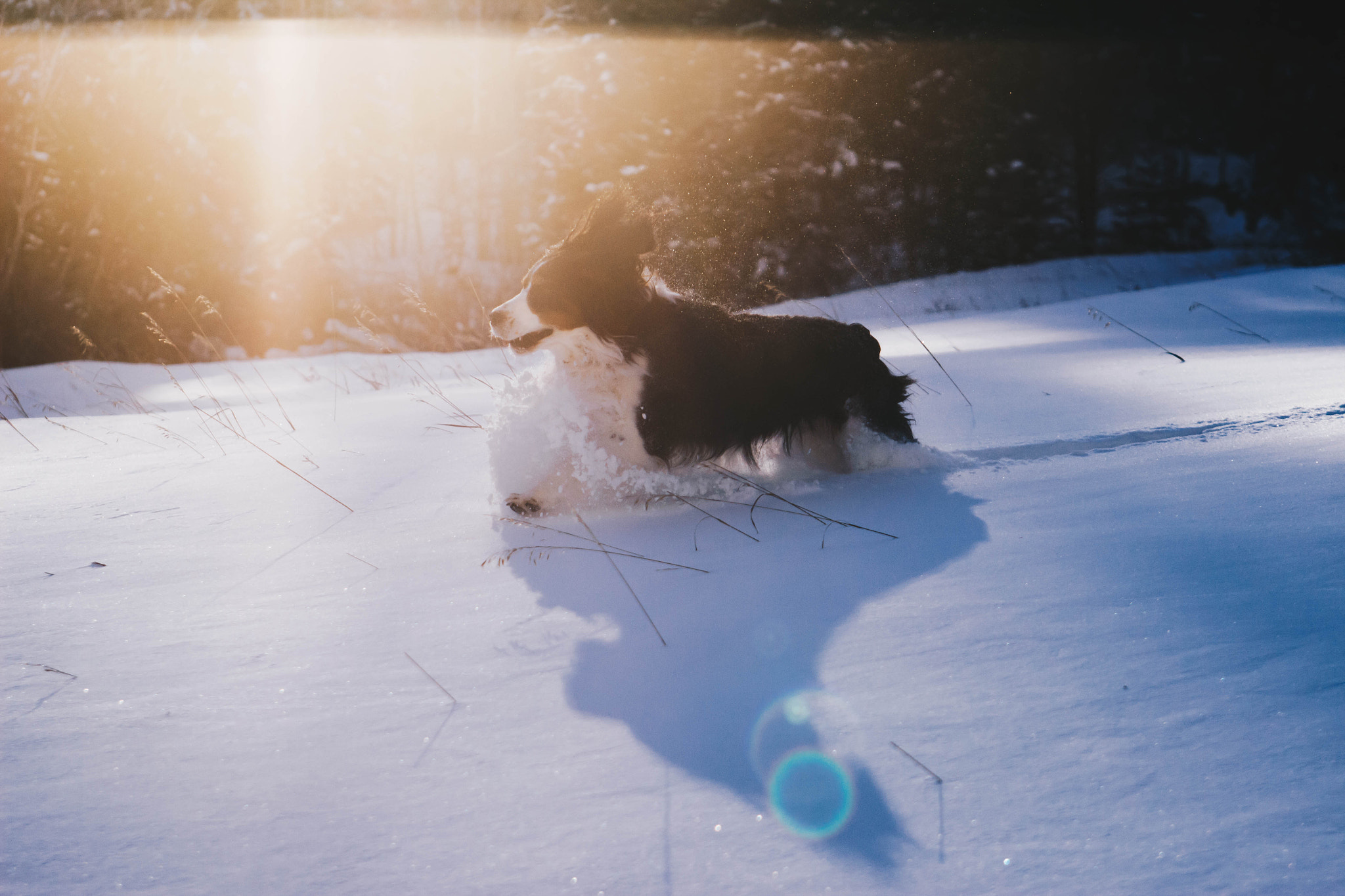 EF28-70mm f/2.8L USM sample photo. Snow flight photography