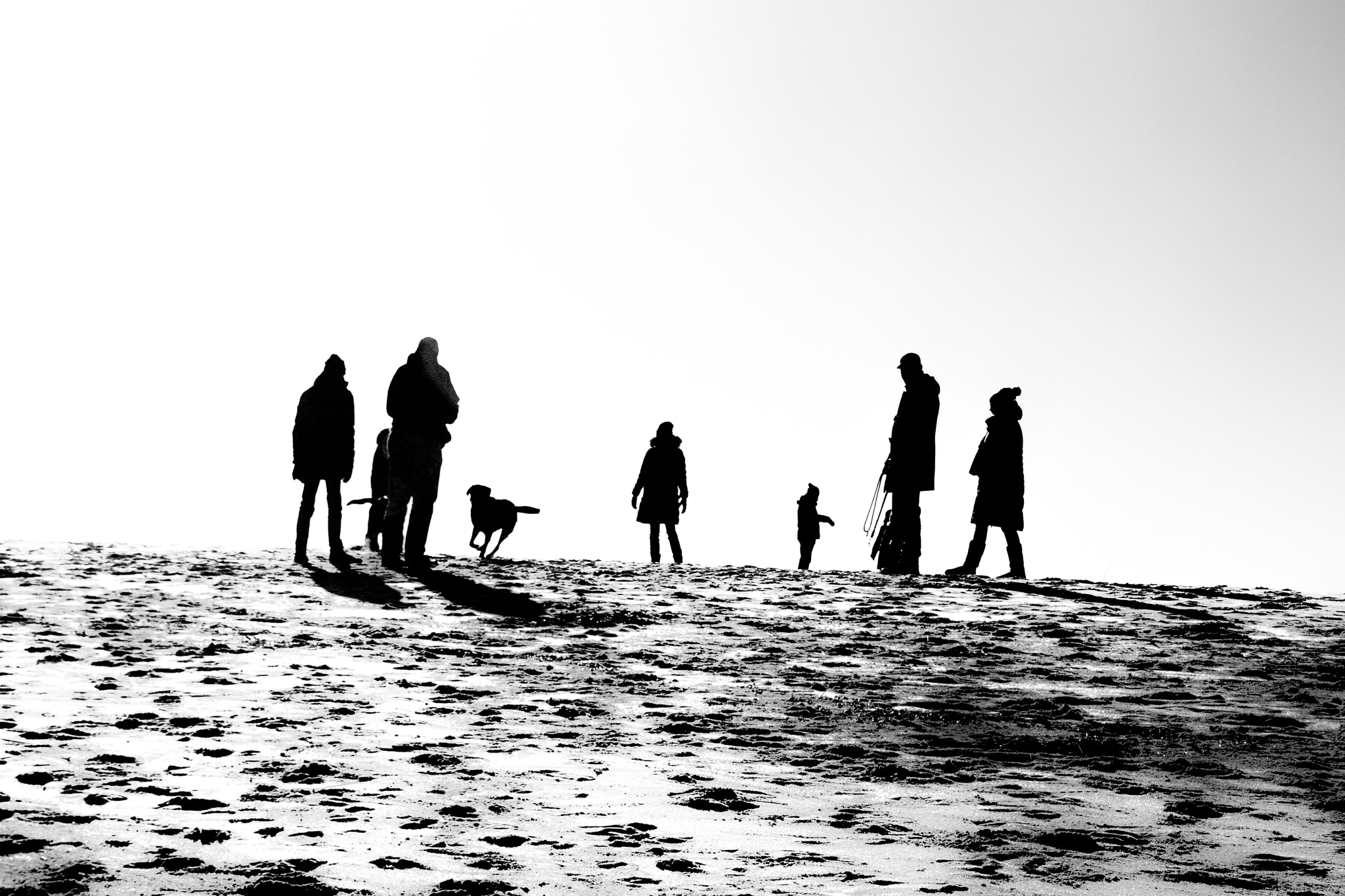 Canon EOS 60D sample photo. On the beach photography