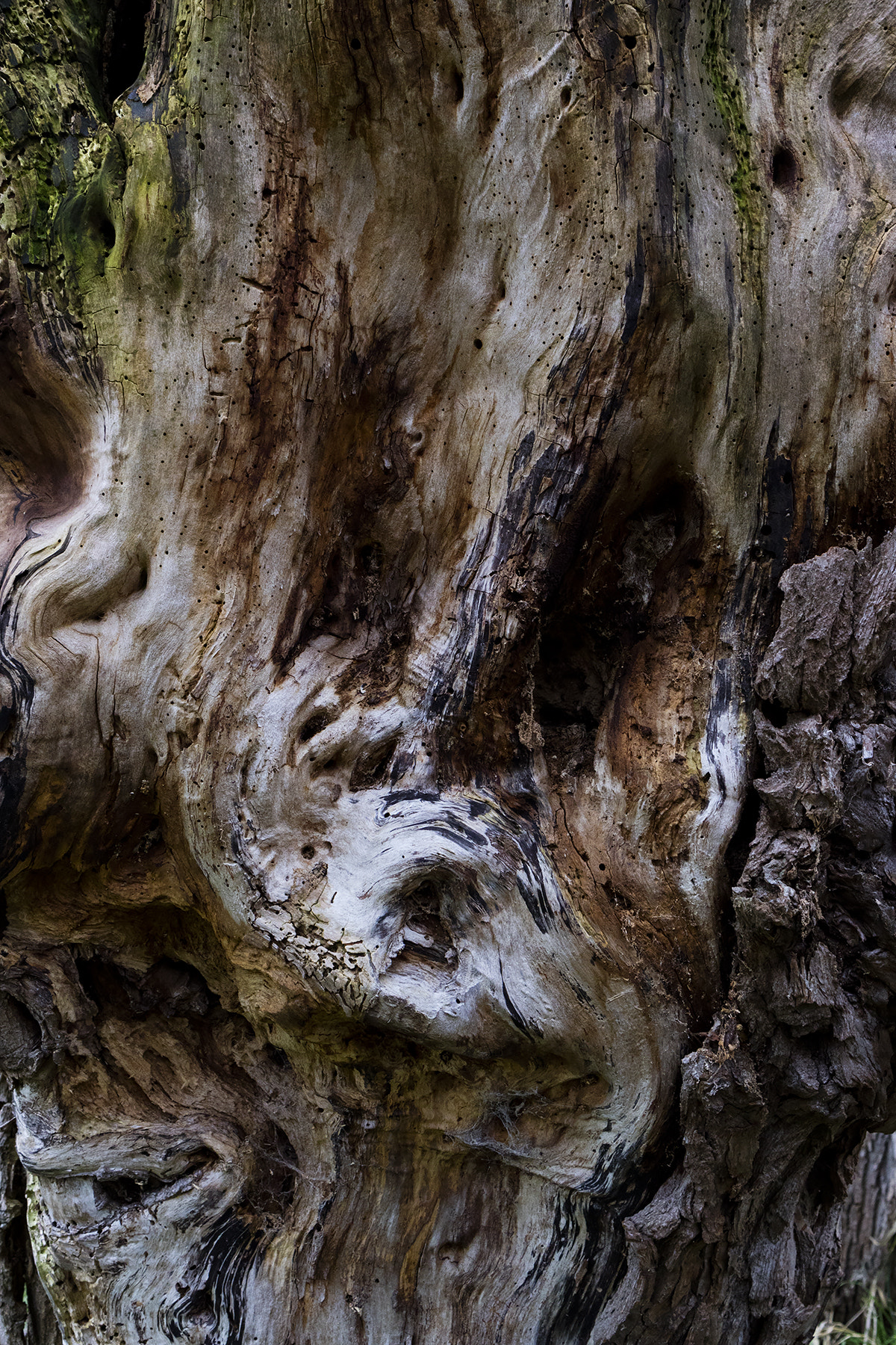 Canon EOS M3 sample photo. The scream photography