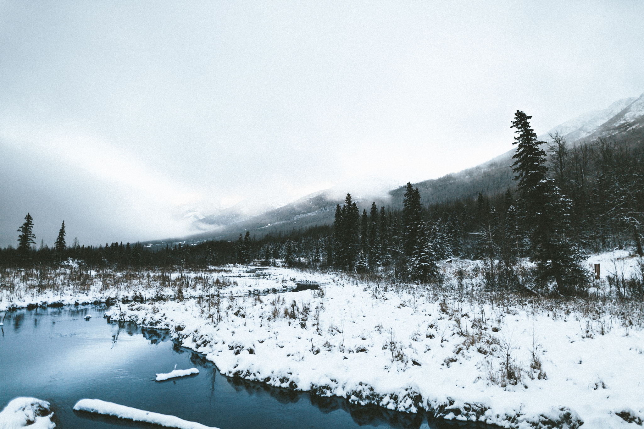 Sigma 24mm F1.4 DG HSM Art sample photo. Foggy alaskan mountains photography