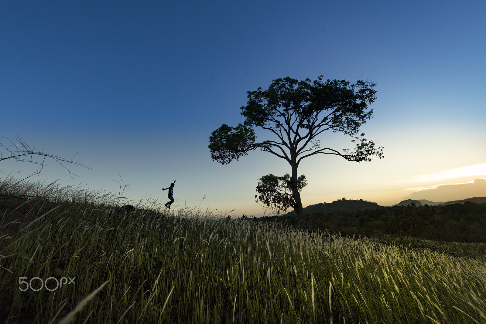 Nikon AF-S Nikkor 14-24mm F2.8G ED sample photo. Jump photography