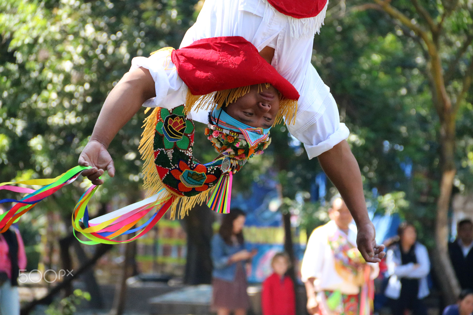 Canon EOS 750D (EOS Rebel T6i / EOS Kiss X8i) sample photo. Palo volador 8118 photography