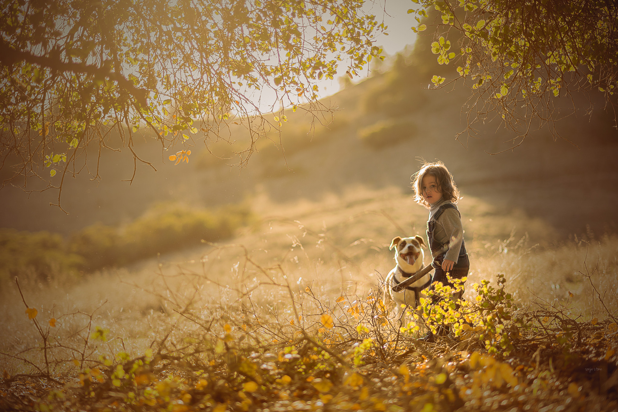 Nikon D600 + AF Nikkor 85mm f/1.8 sample photo. Friends photography