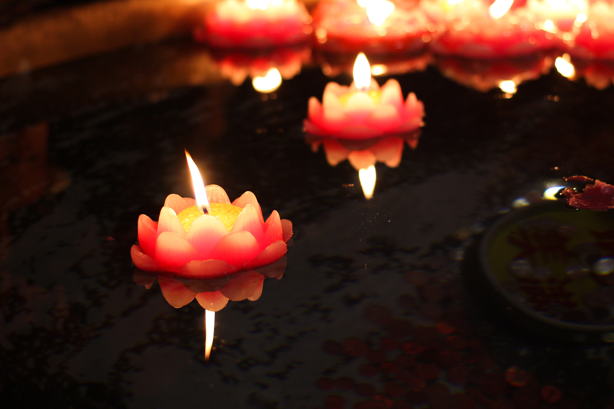 Canon EOS 600D (Rebel EOS T3i / EOS Kiss X5) + Canon EF 40mm F2.8 STM sample photo. Blessing photography