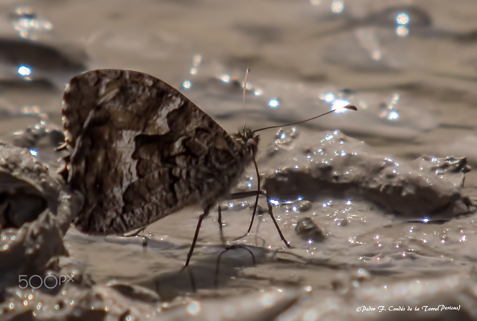 Canon EF 35-350mm F3.5-5.6L USM sample photo. Libando photography
