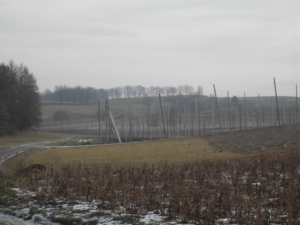 Samsung VLUU L100, M100  / Samsung L100, M100 sample photo. Landschaft im winter photography