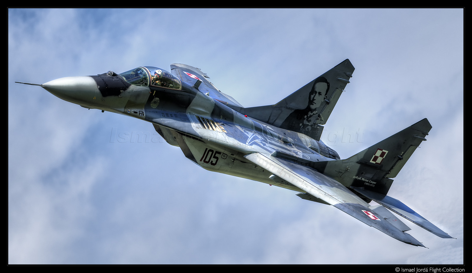 Nikon D810 + Nikon AF-S Nikkor 600mm F4G ED VR sample photo. Mig 29 (2016) photography