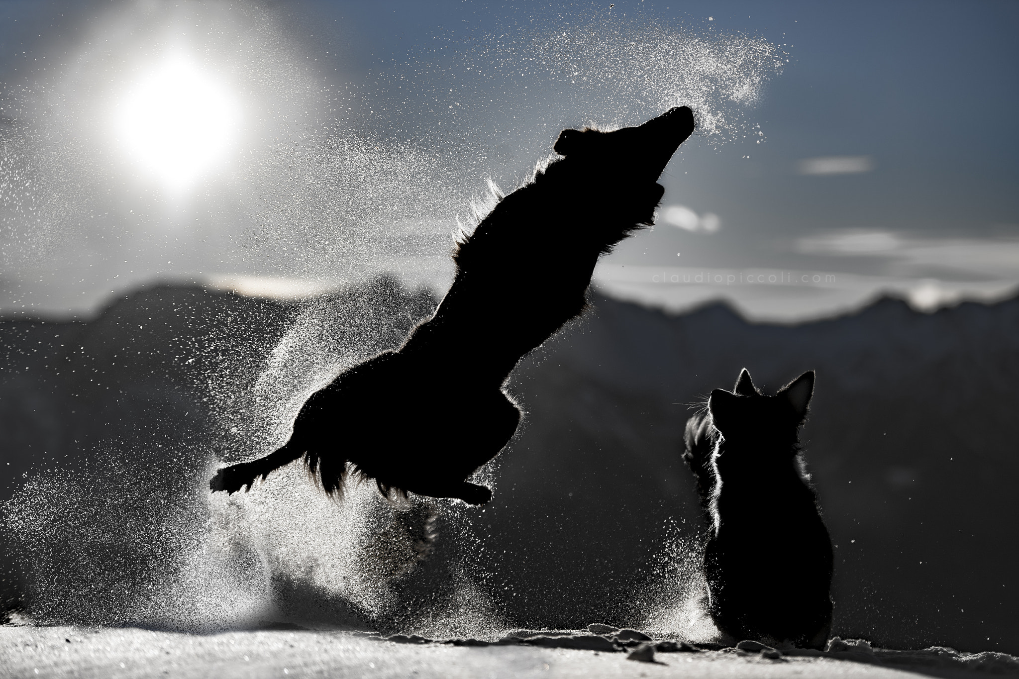 Nikon D5 sample photo. Tris & leep in action photography