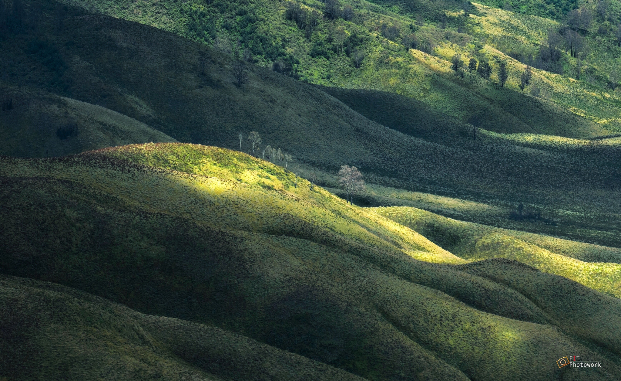 Canon EF 70-200mm F2.8L USM sample photo. .:: two sides to every story ::. photography