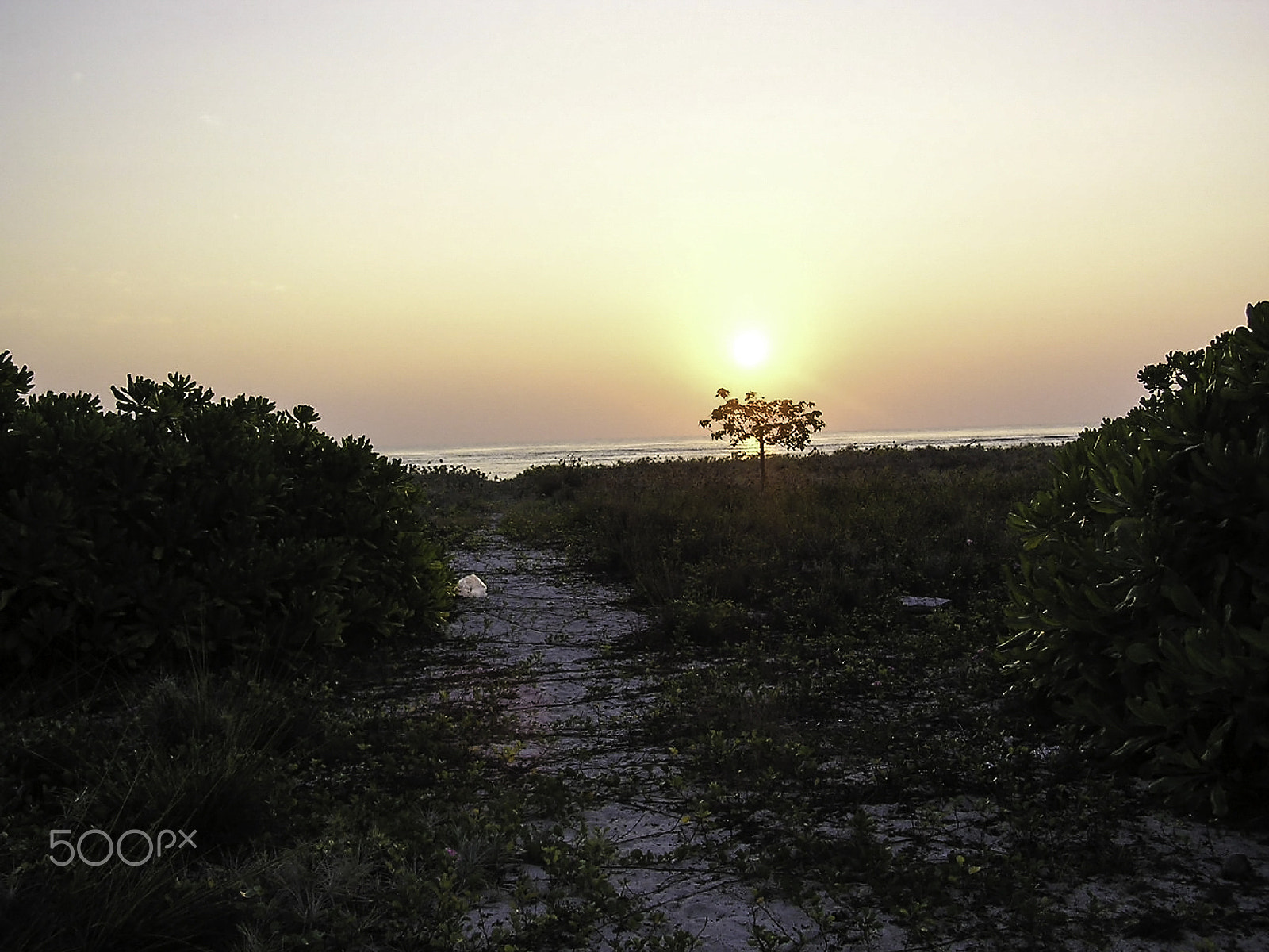 Olympus C750UZ sample photo. The beautiful colors of a sunrise on kadamat island in the laksh photography
