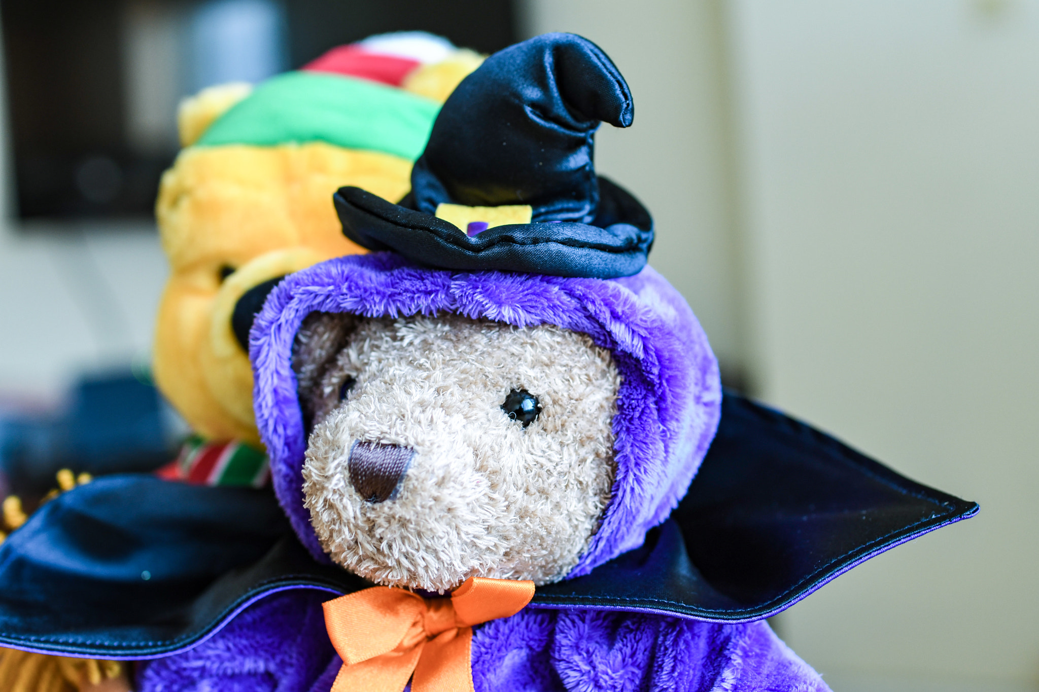 Nikon D500 sample photo