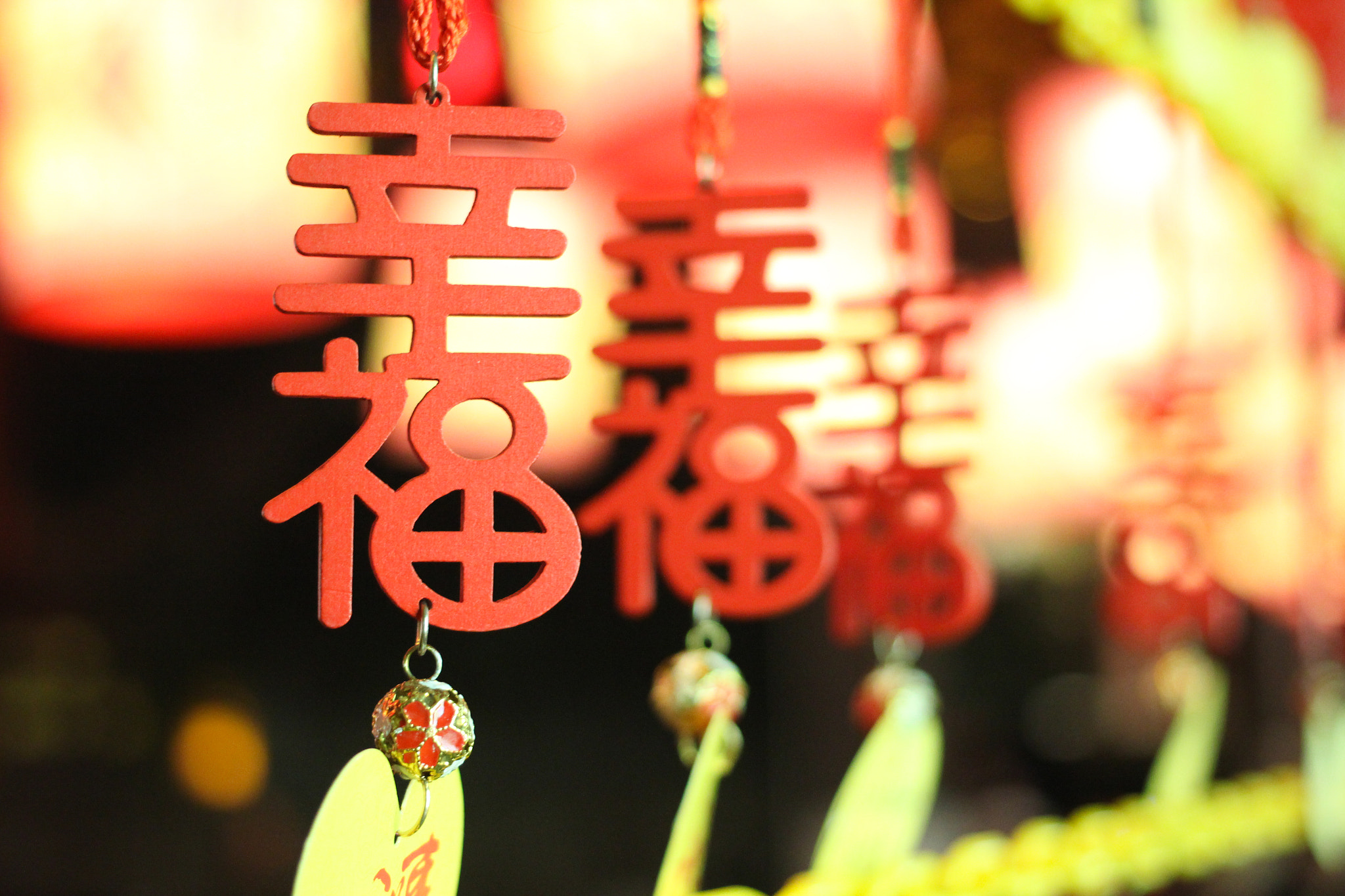 Canon EOS 600D (Rebel EOS T3i / EOS Kiss X5) + Canon EF 40mm F2.8 STM sample photo. Happiness photography