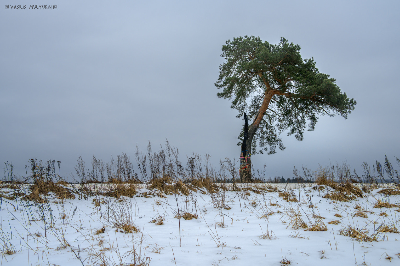 Sony a99 II + Minolta AF 28-70mm F2.8 G sample photo. ... возвращаясь к photography