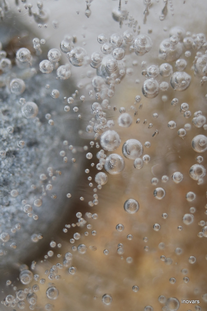 Canon EF 38-76mm f/4.5-5.6 sample photo. Img photography
