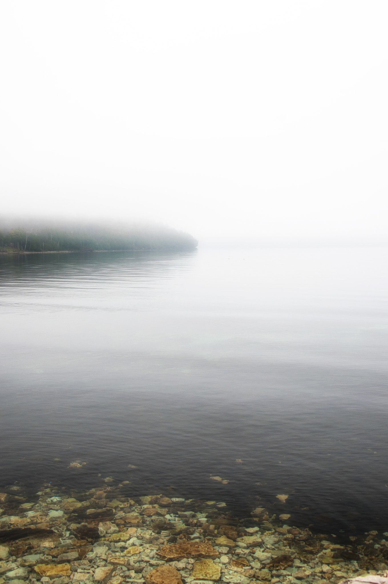 Nikon D300 sample photo. Fog photography