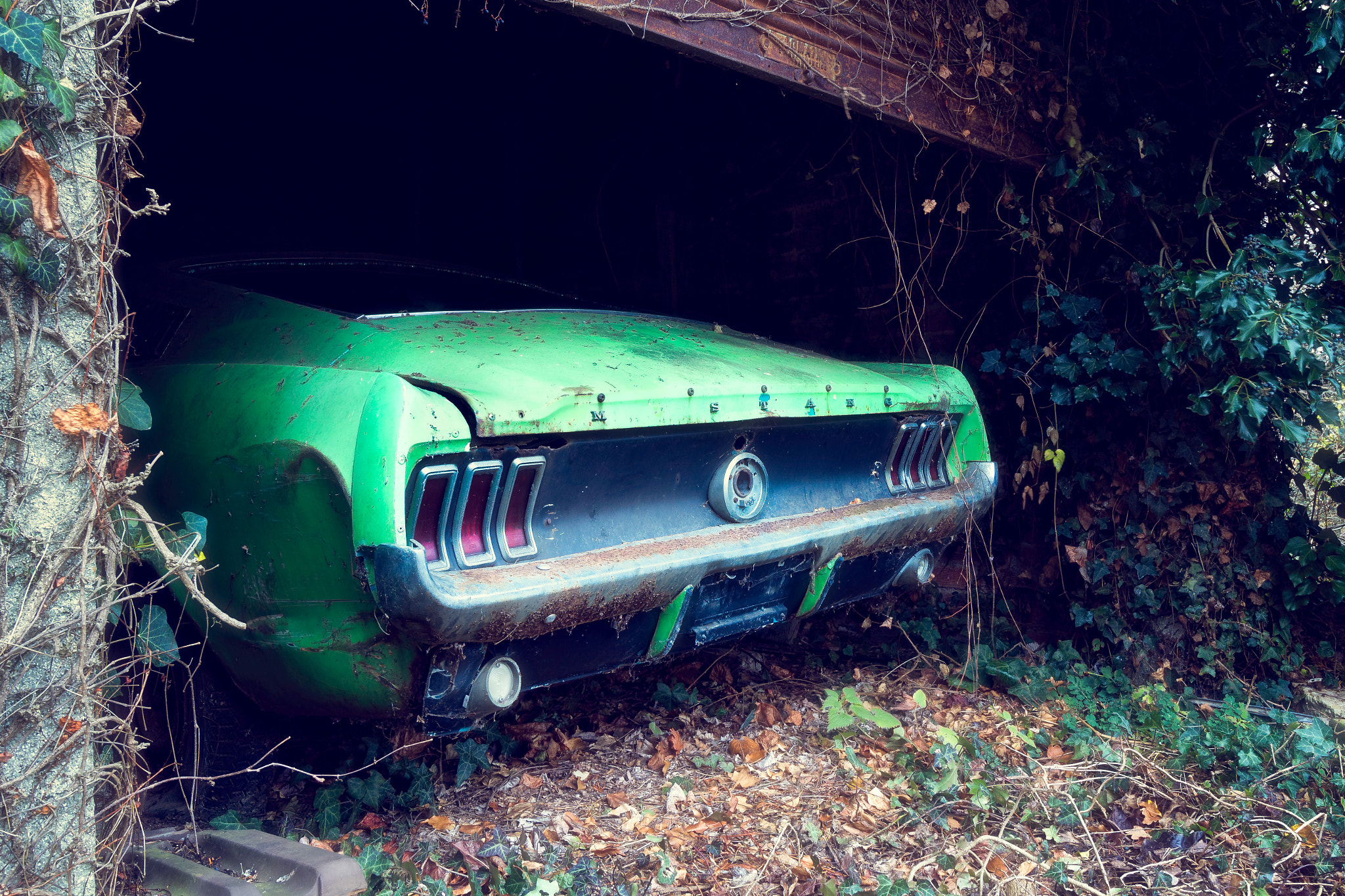 Canon EOS 650D (EOS Rebel T4i / EOS Kiss X6i) sample photo. Abandoned mustang. photography
