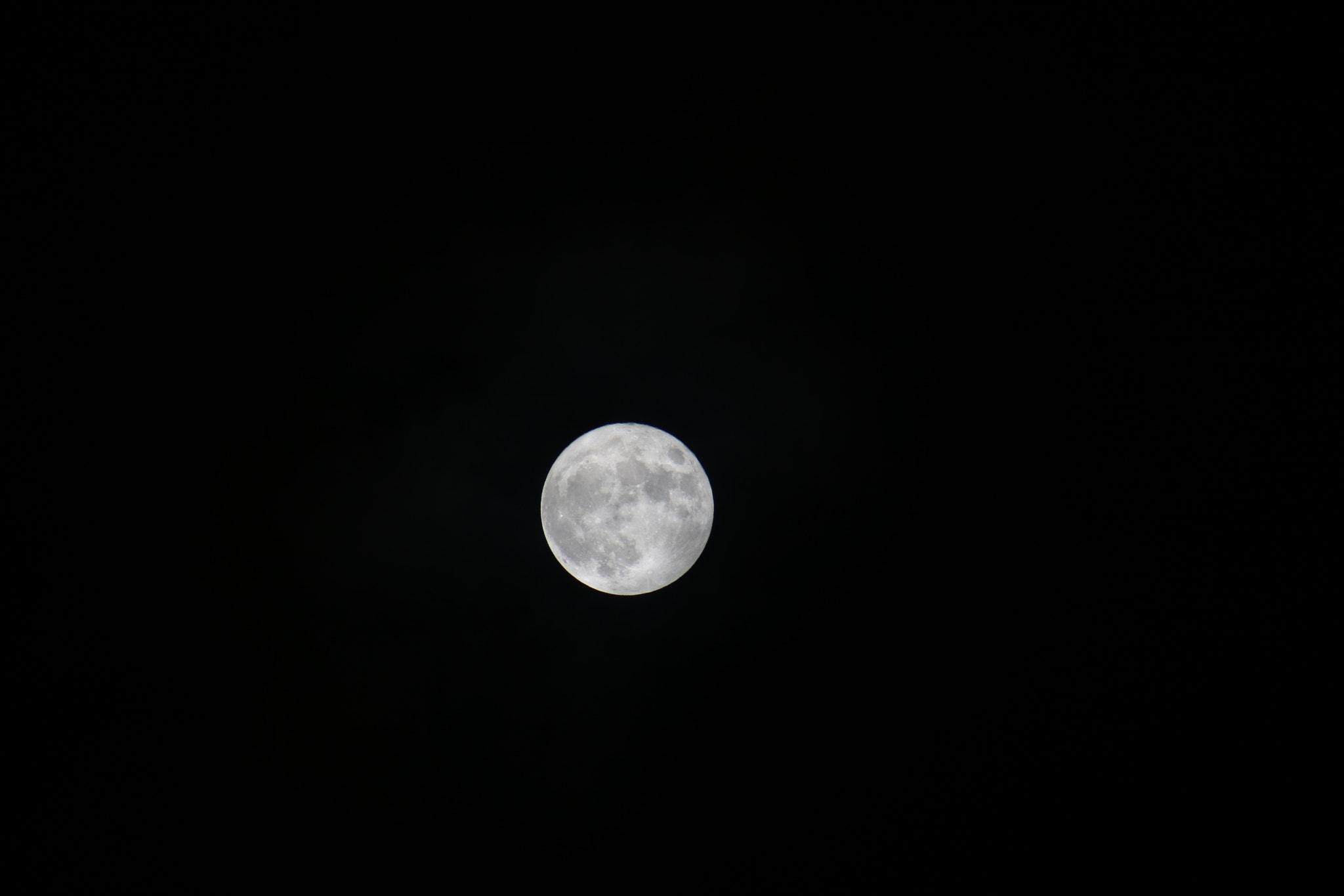Canon EOS 750D (EOS Rebel T6i / EOS Kiss X8i) + EF75-300mm f/4-5.6 sample photo. Img photography
