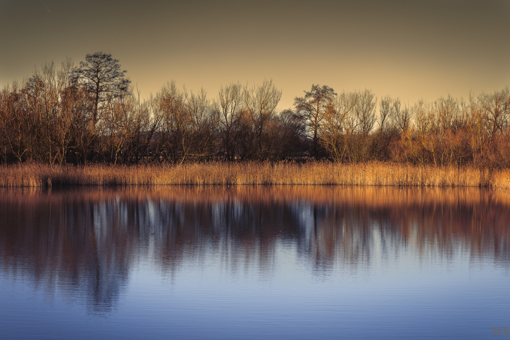 Canon EF 85mm F1.2L II USM sample photo. Edit photography
