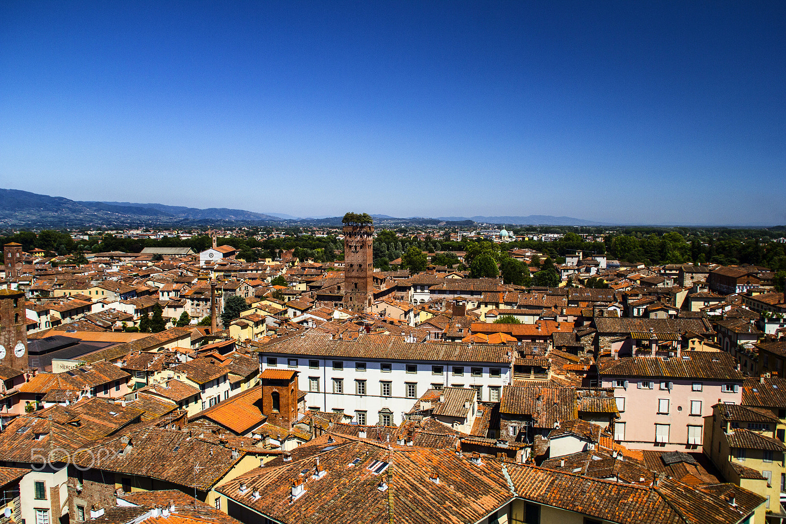 Canon EOS 60D sample photo. Guinigi tower lucca tuscany photography