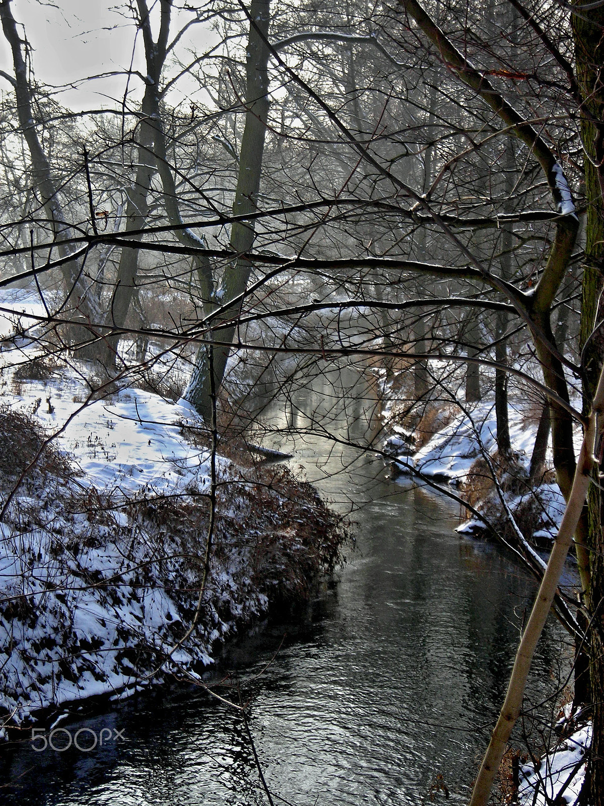 Nikon COOLPIX L3 sample photo. The river 'dłubnia' in batowice near krakow. photography