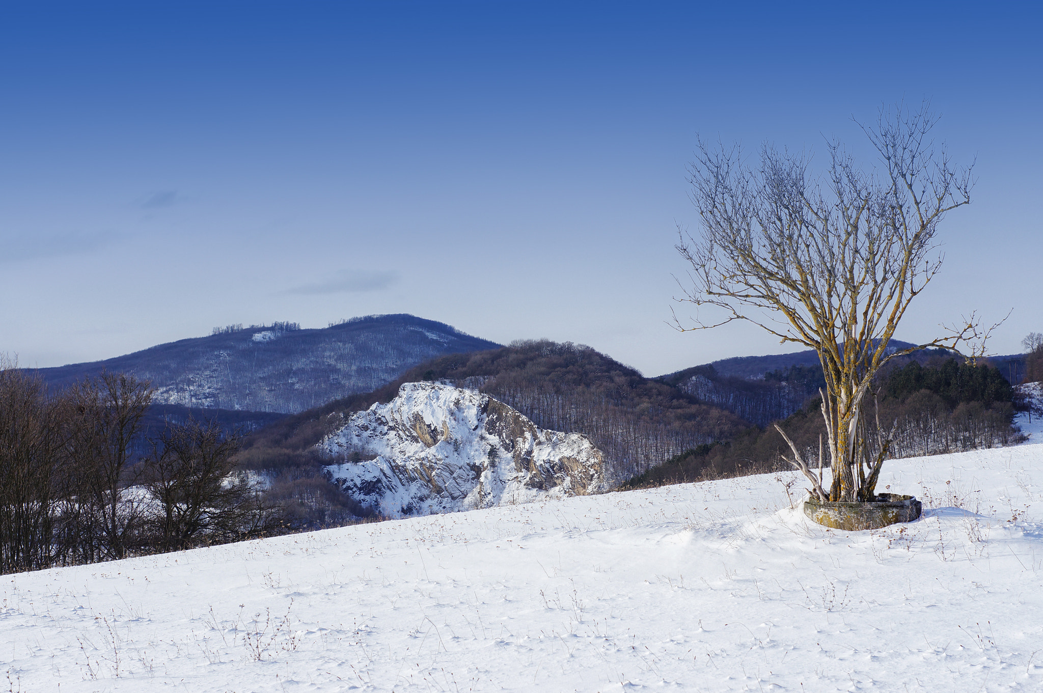 Sony SLT-A57 + Minolta AF 50mm F1.7 sample photo. Clear winter mood photography