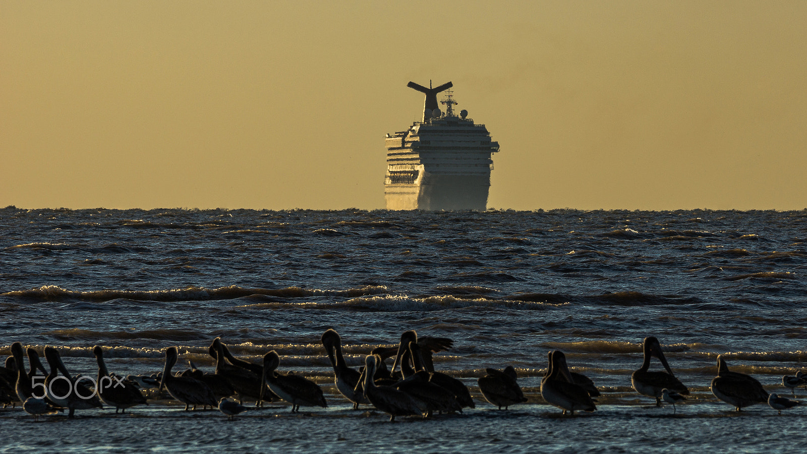 Sony 70-300mm F4.5-5.6 G SSM sample photo. Departure photography