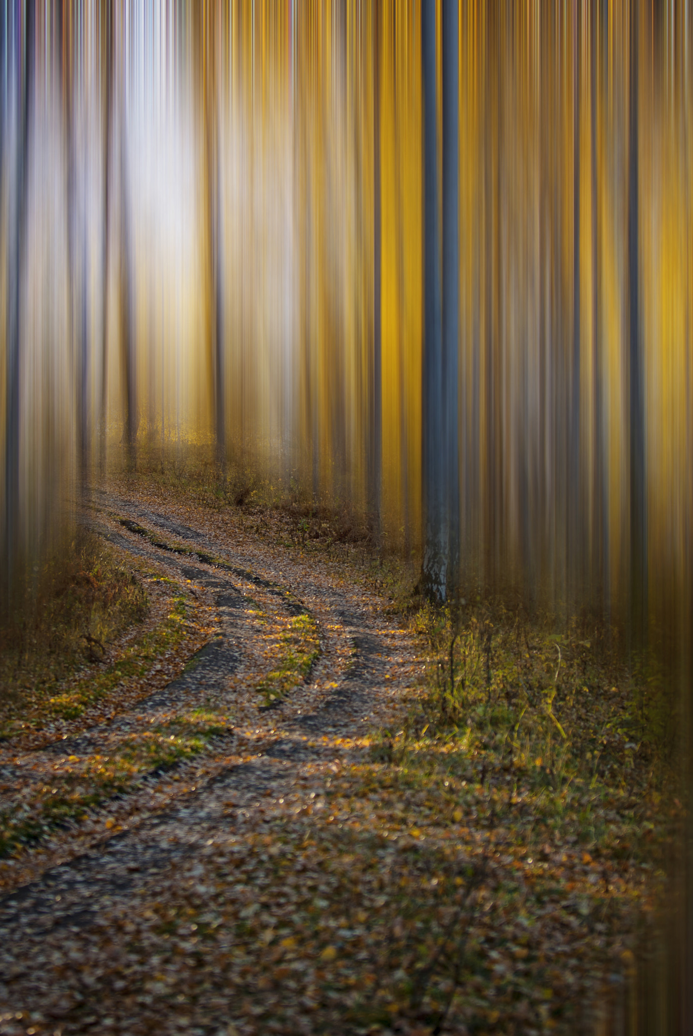 Nikon D200 sample photo. Road into light photography