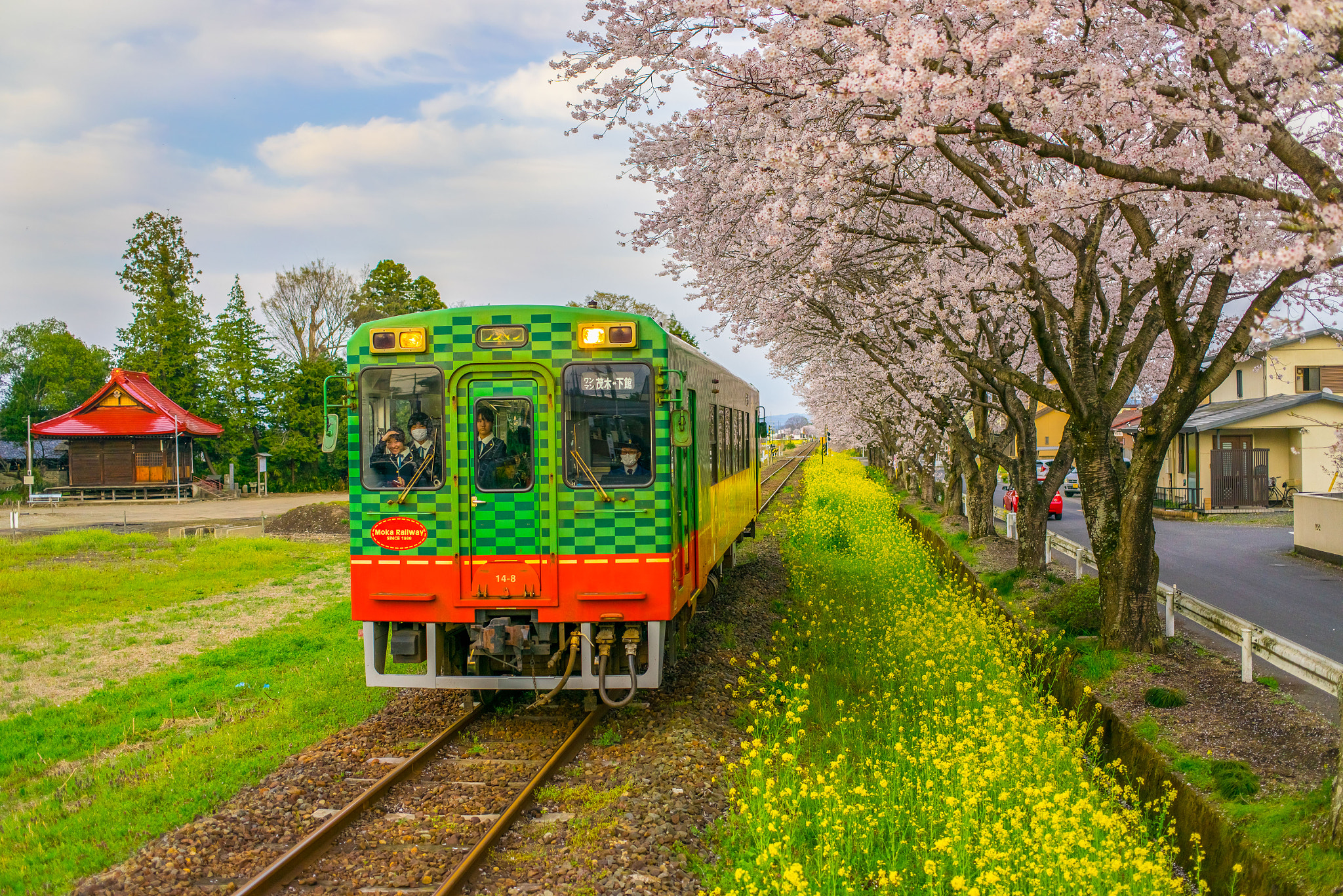 Sony a7R sample photo. Dsc photography