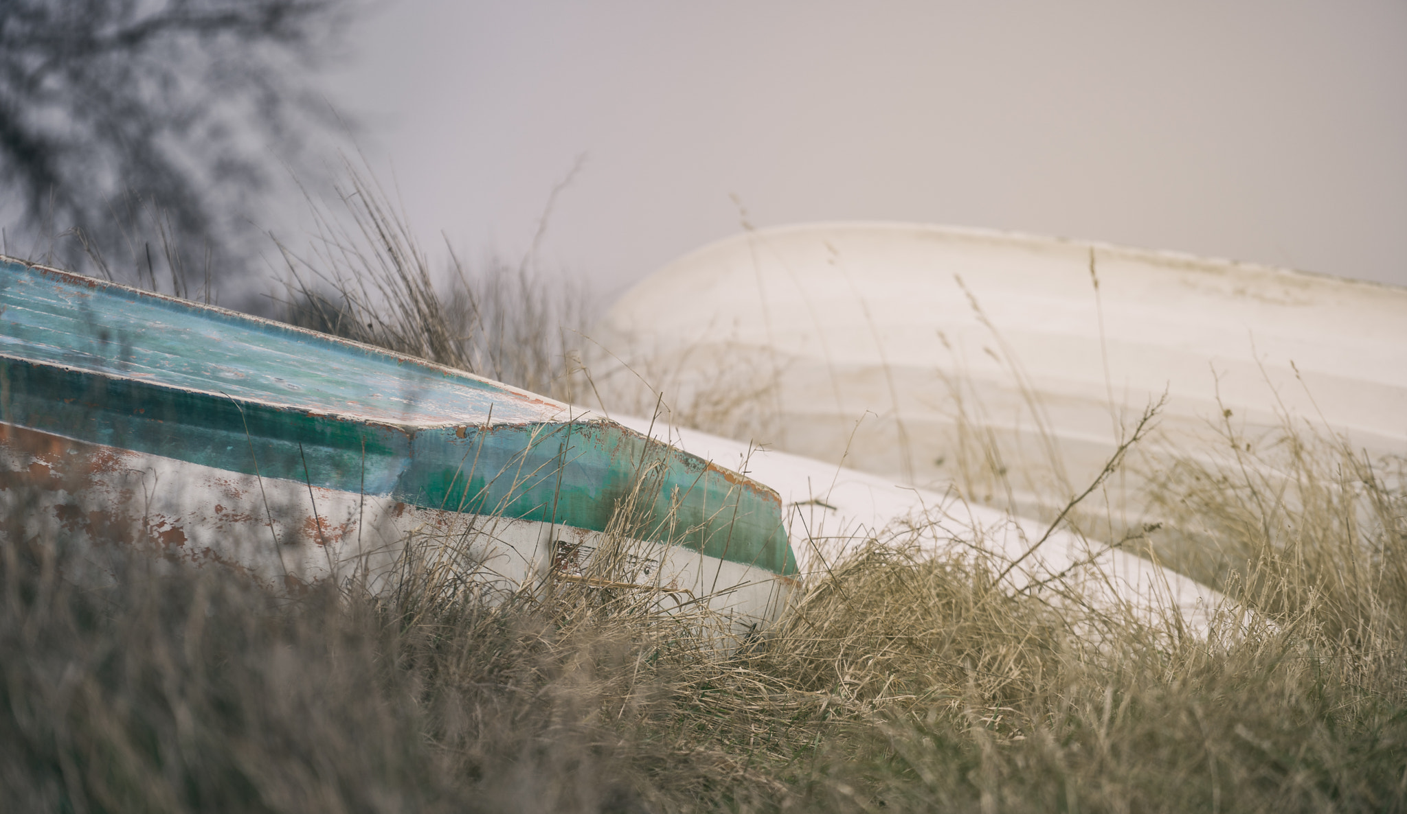 Sony a7 + Sony FE 70-200mm F4 G OSS sample photo. From the beach... photography