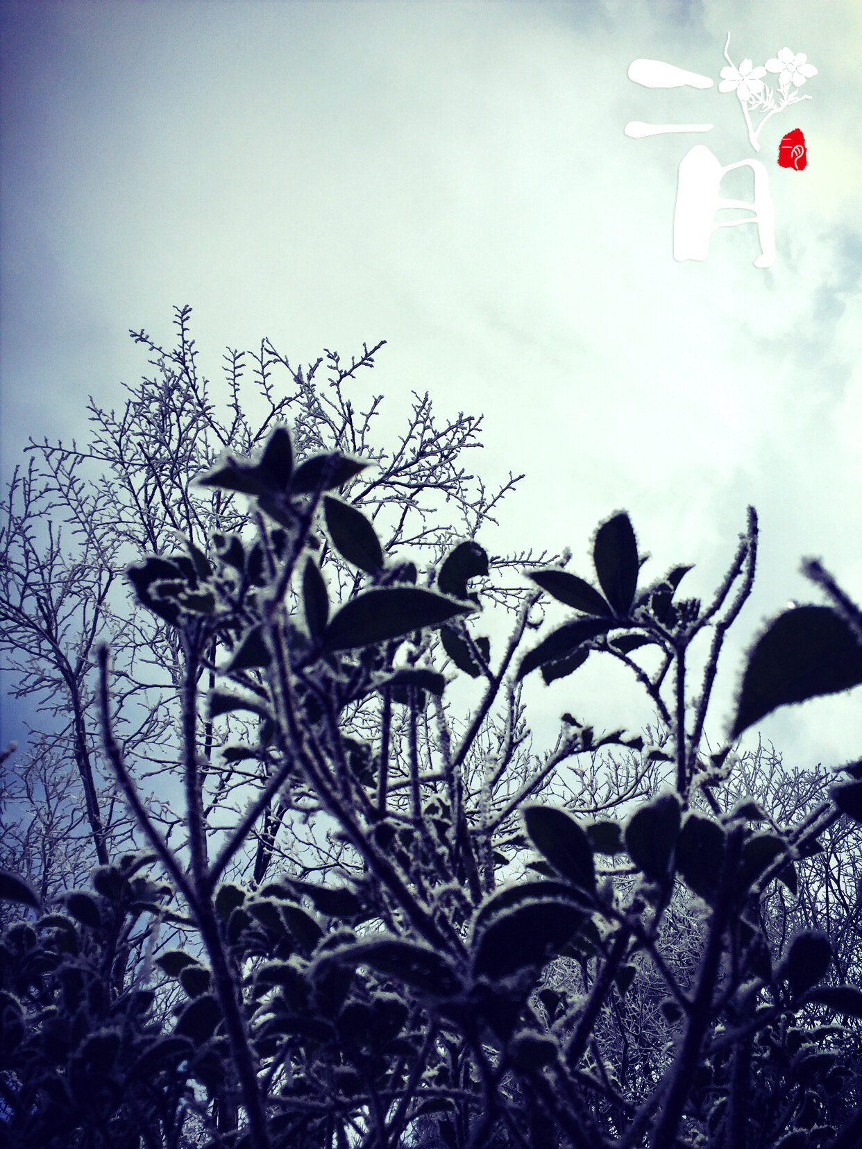 Apple iPhone7,1 sample photo. Feb photography