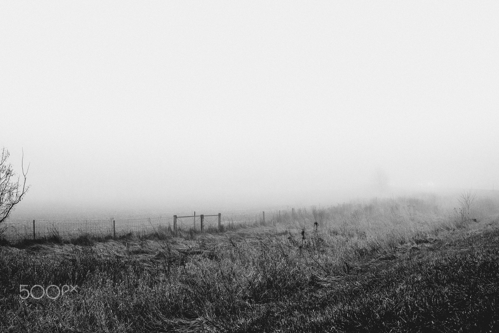 E 32mm F1.8 sample photo. Field and fog photography