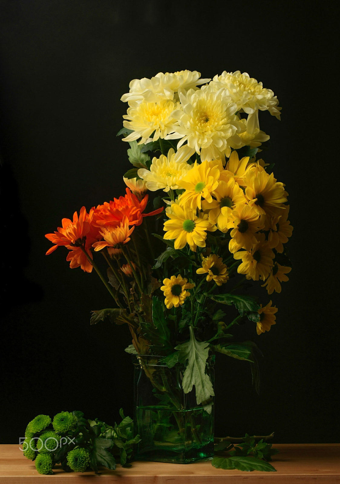 Canon EOS-1Ds Mark III sample photo. Multiple titles photography