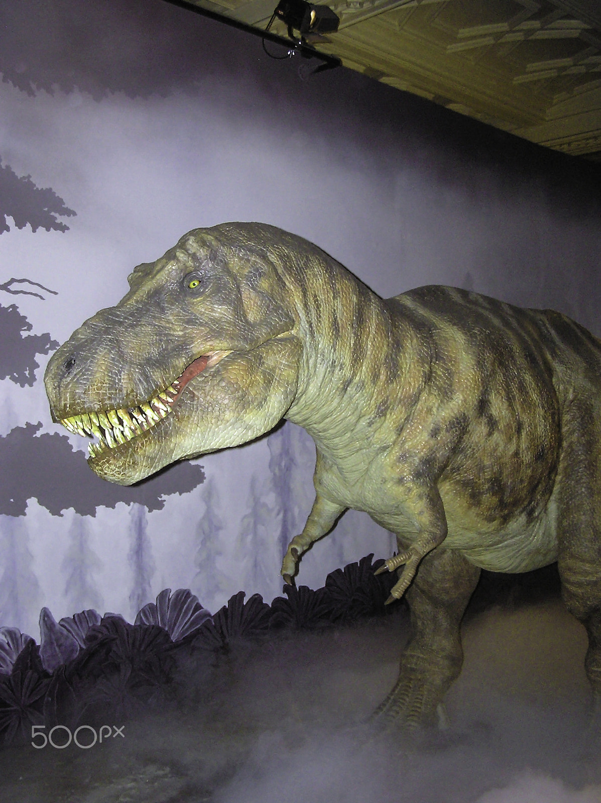 Olympus C750UZ sample photo. Dummy of a dinosaur inside a museum in london photography