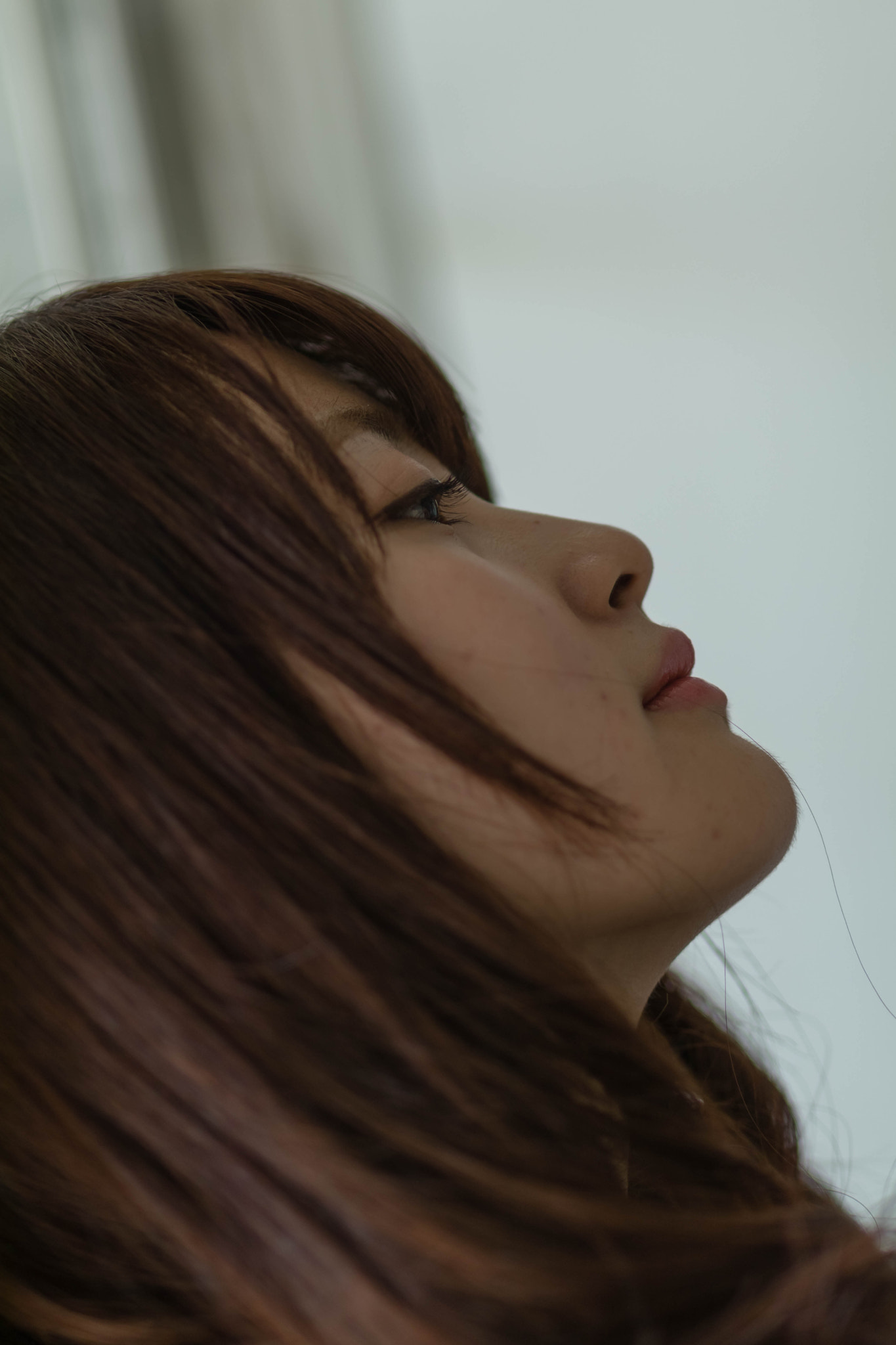 Tamron SP 35mm F1.8 Di VC USD sample photo. 2017/01/28momo撮影会 photography