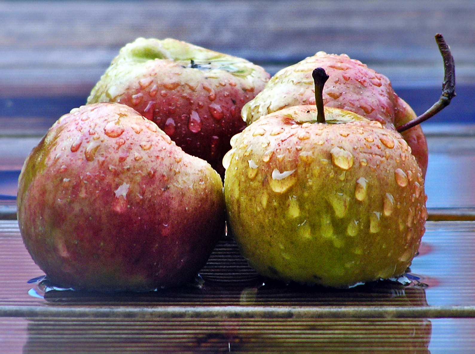 Olympus C765UZ sample photo. Rain apples photography