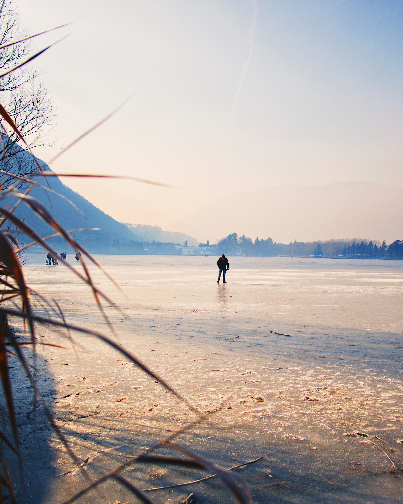 Fujifilm X-T10 + Fujifilm XF 18mm F2 R sample photo. Life always wins the winter photography