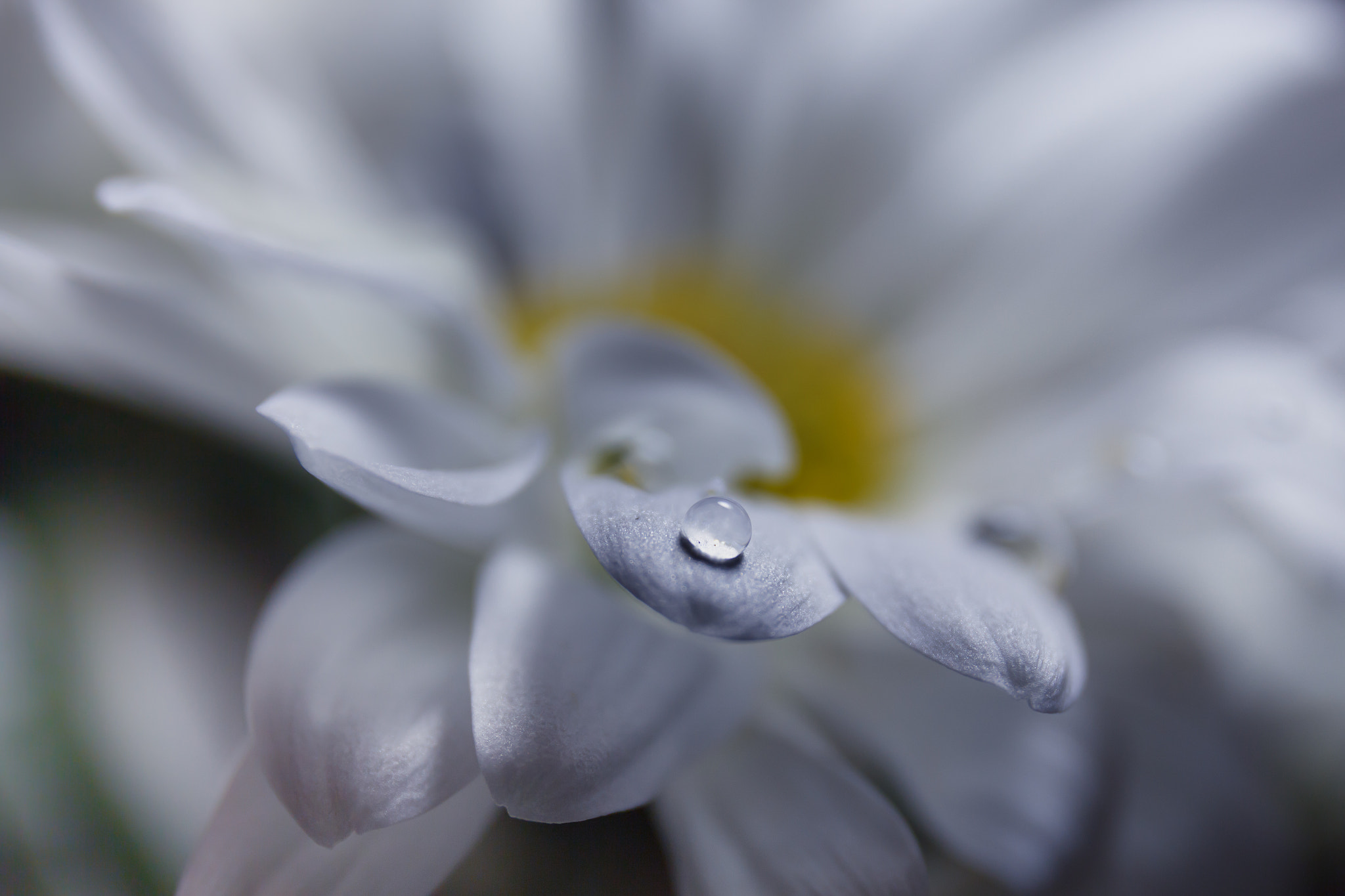 Canon EF 24-70mm F4L IS USM sample photo. ... photography