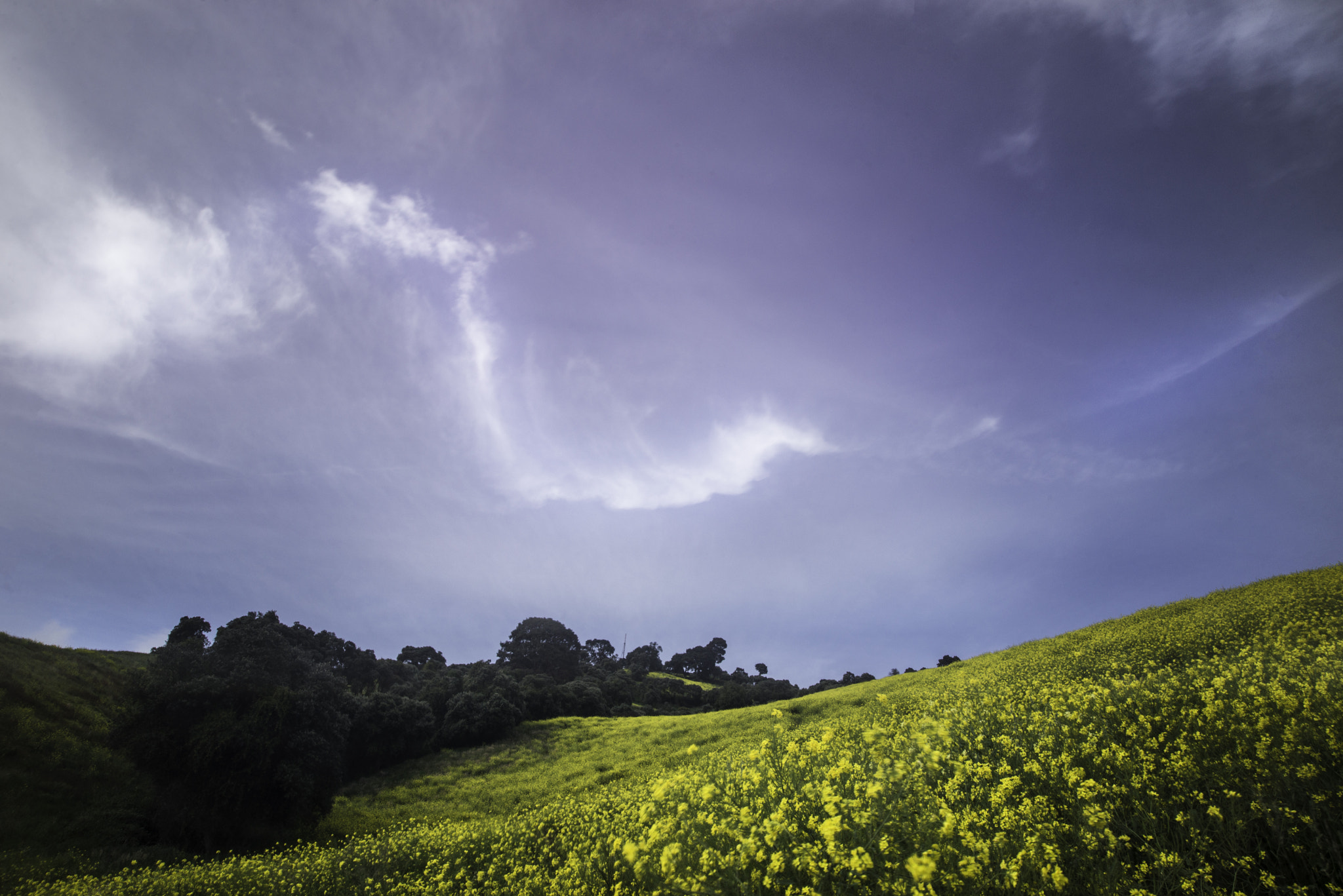 Sigma 20mm F1.8 EX DG Aspherical RF sample photo. A wave photography