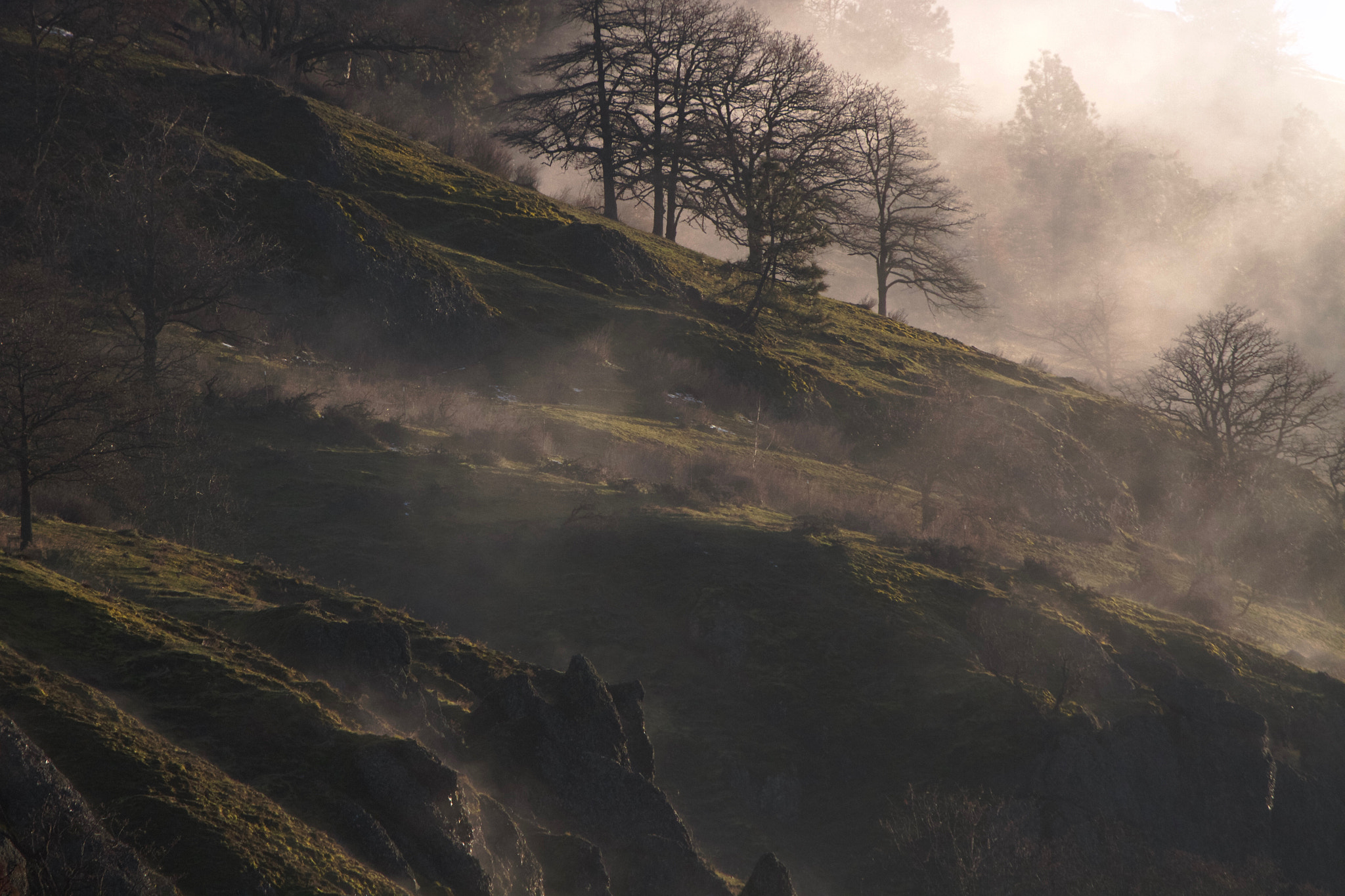 Canon EF 70-300mm F4-5.6L IS USM sample photo. Rising mist photography