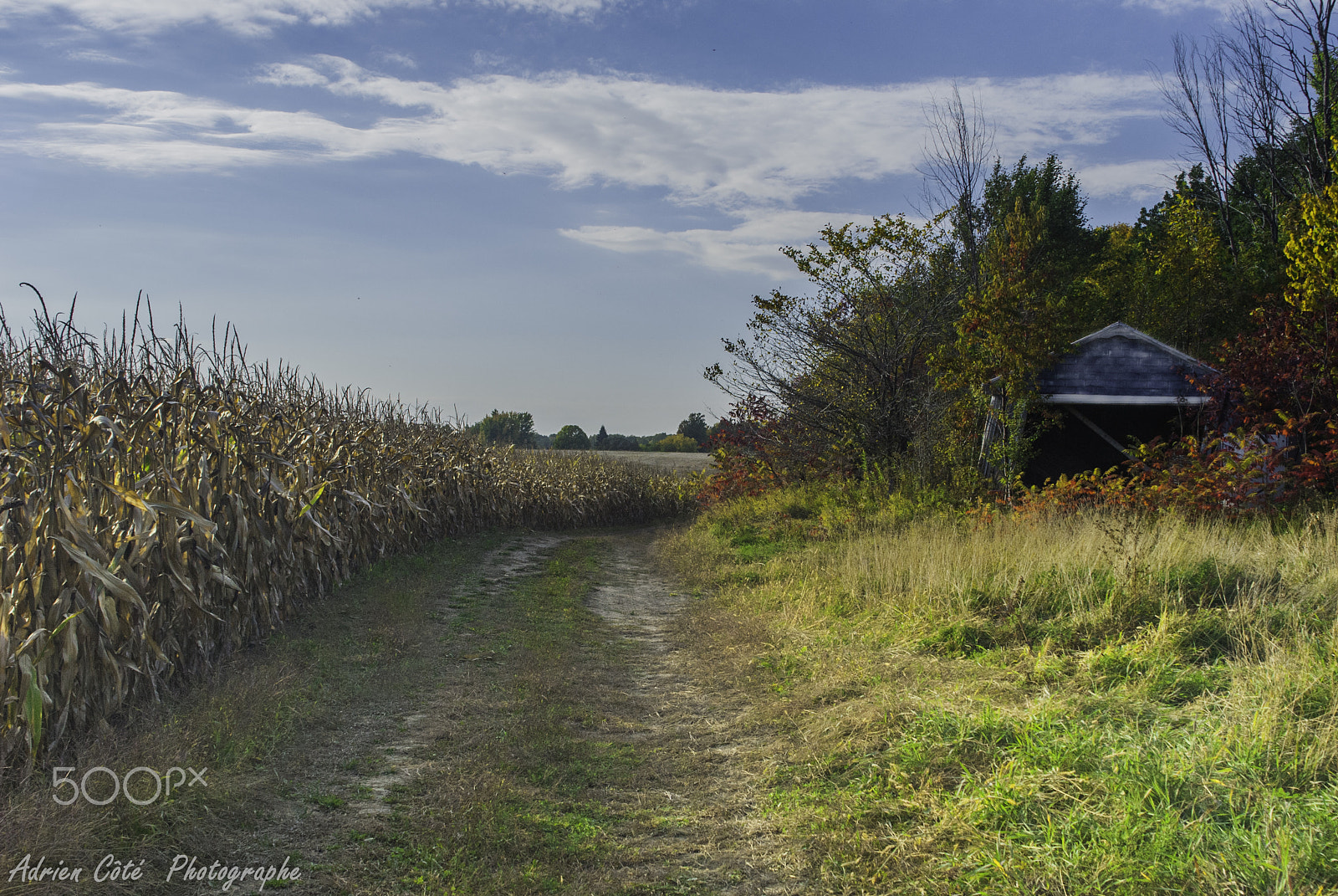 Nikon D200 sample photo. Automne à la ferme photography