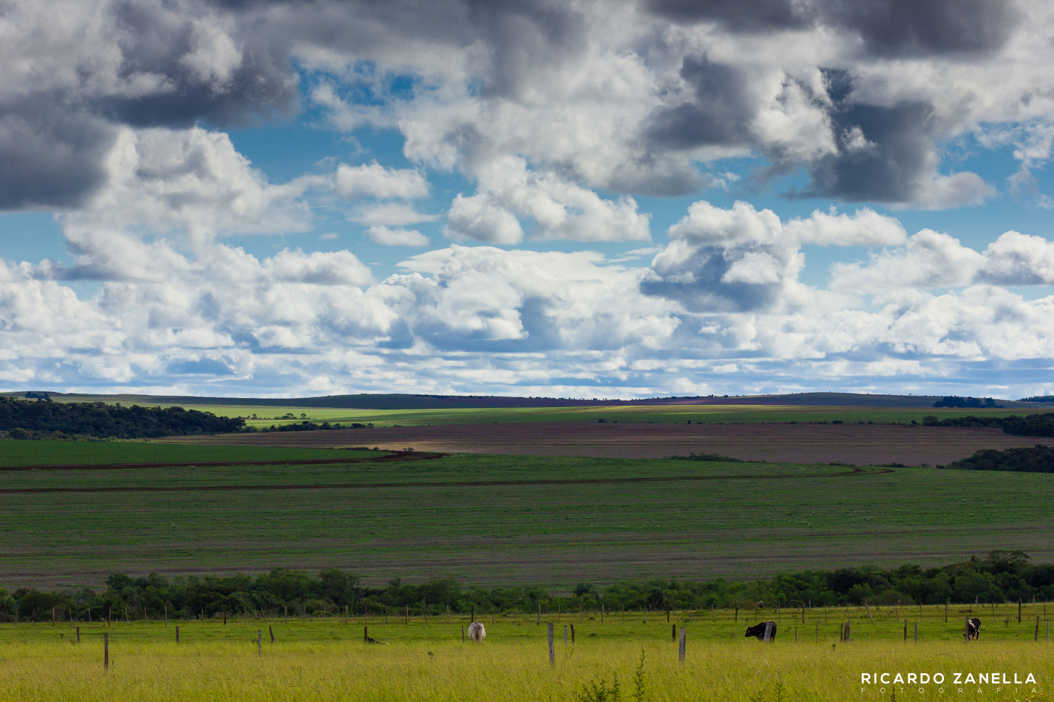 Canon EF 85mm F1.8 USM sample photo. Itamaraty photography