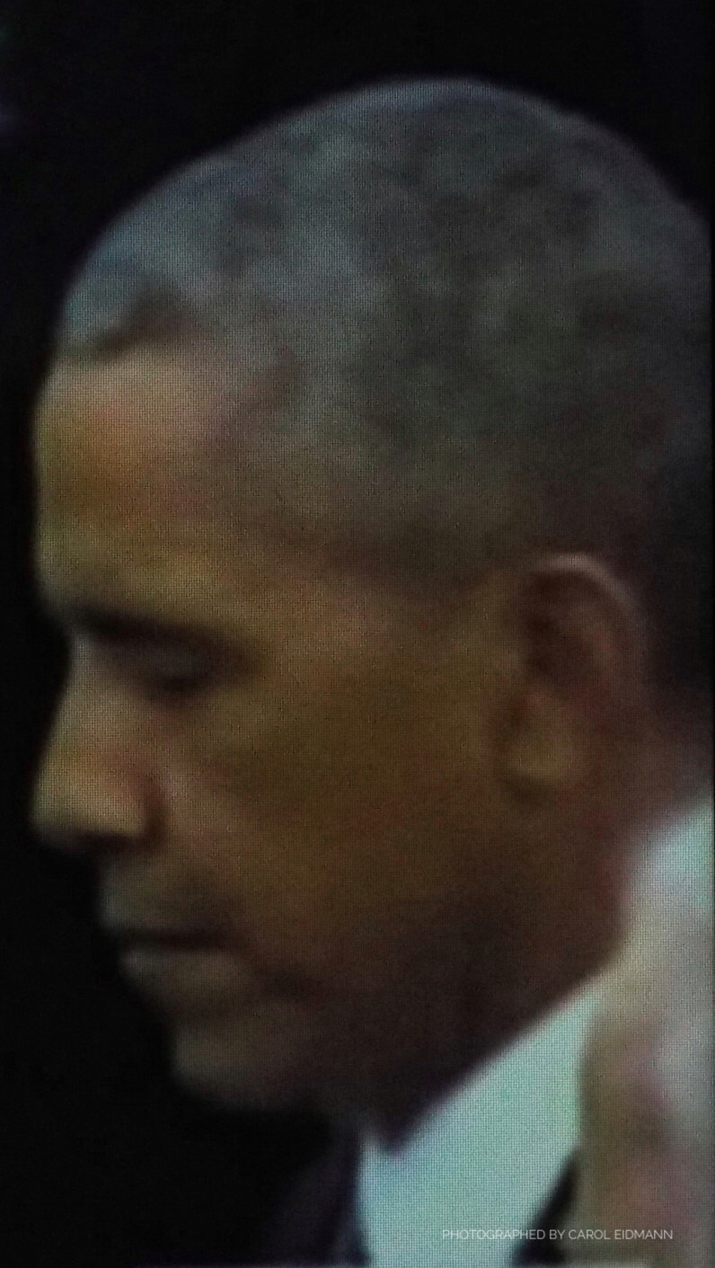 Fujifilm FinePix S9900W S9950W sample photo. " president obama " photography