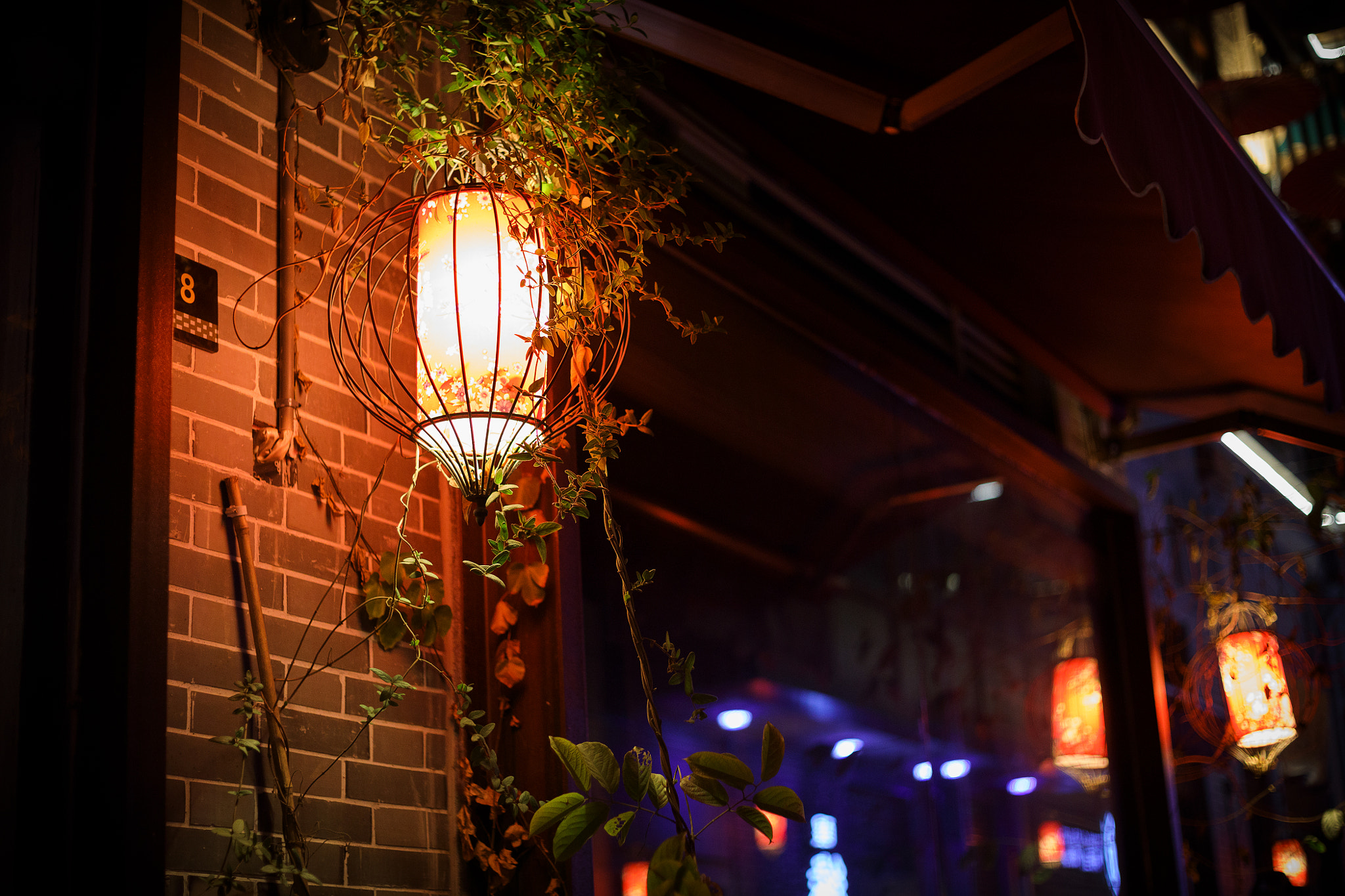Canon EF 50mm F1.8 II sample photo