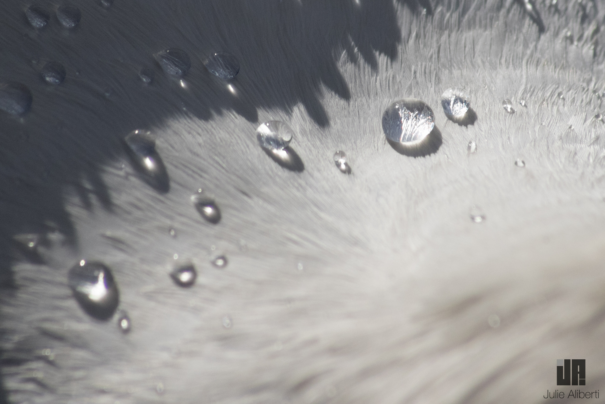 Sigma 70-300mm F4-5.6 APO DG Macro sample photo. . photography