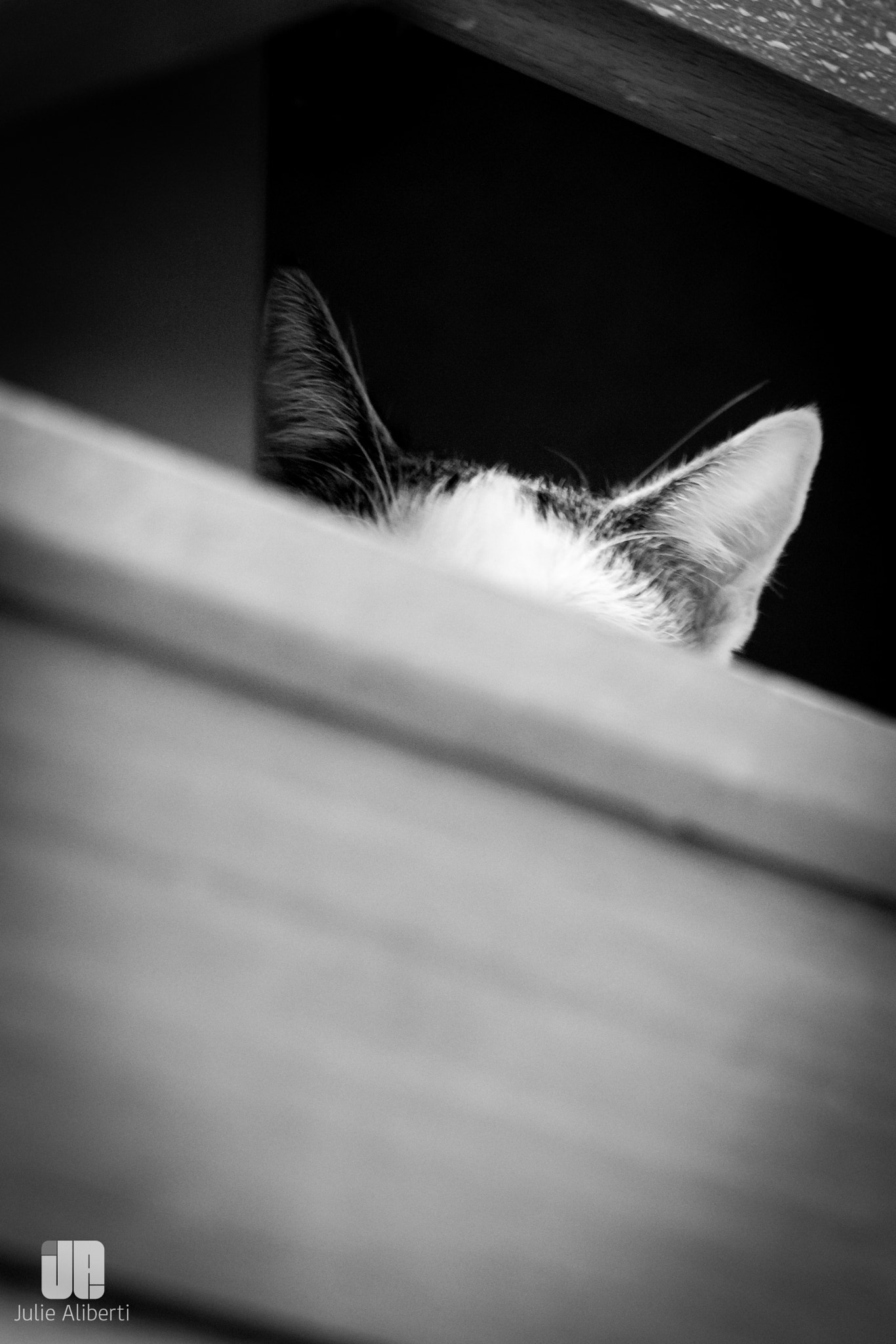 Canon EF 40mm F2.8 STM sample photo. . photography